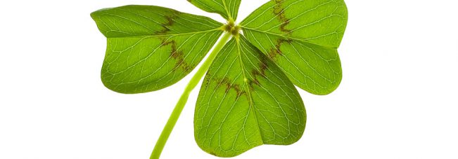 Positive Gedanken