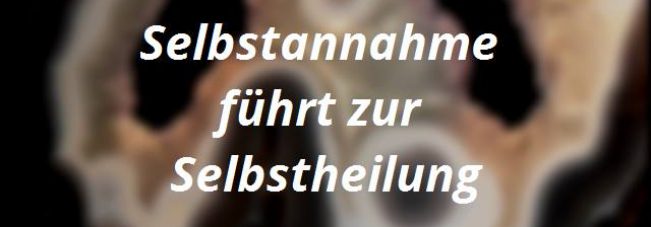Mala Dumortierit Rosenquarz Picassojaspis Achat
